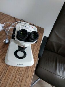 microscopio-6971