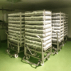 Thumbnail - Set of carts and sterilization cassettes for syringe