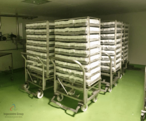 Set of carts and sterilization cassettes for syringe